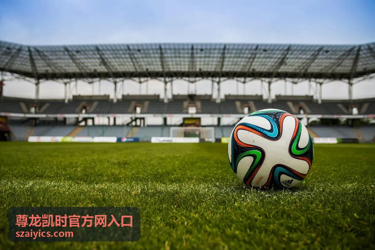 尊龙凯时官方网入口常见问题